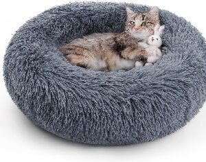 Cat Beds